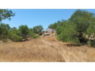 Plot Of 1 Hectare , Built 380 Sqm. Nice..