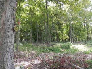 Land For Sale: Gallatin, New York