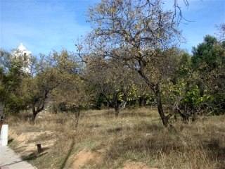 For Sale: Plot In Central Algarve..