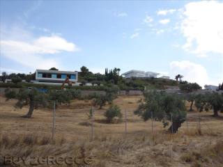B255 - Land parcel of 4000 sqm in the..