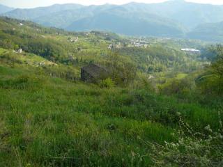 Country/farmhouse - For Sale -..