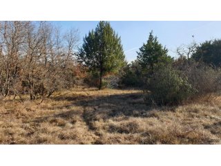 Istra, Juršići - poljoprivredno zemljište 19770 m2