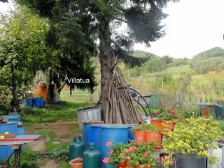 Country/farmhouse - For Sale - North of..