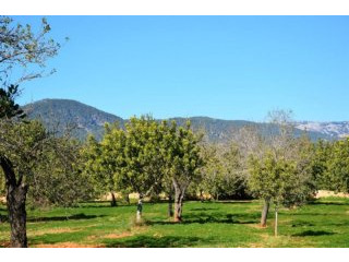 Fantastic building plot with licence..