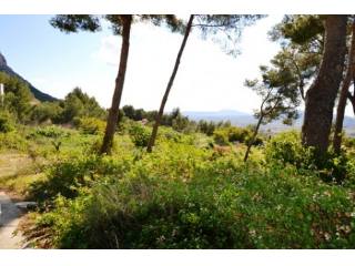 Plot Javea 4 - Javea