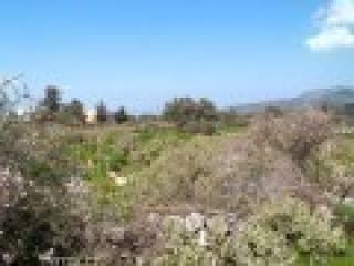 Big Plot For Sale In Apokoronas - Crete
