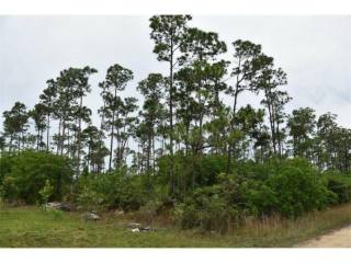Land For Sale: Curtis Rd, Freeport, OC..