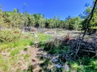 LIpa, poljoprivredno-šumsko zemljište površine 3298m2