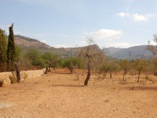 Big Building Plot In Llumajor