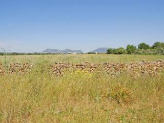 Large plot near the Son Antem Golf..