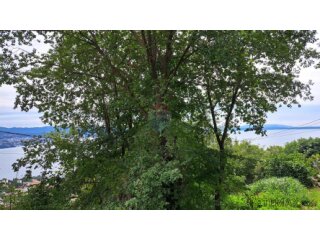 Opatija,građevinski teren ,Opatijska rivijera