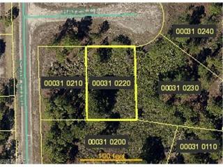 Land For Sale: Lehigh Acres, Florida
