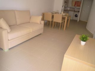 2 Beds 2 Baths Playa Flamenca Apartment..
