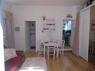 Charming studio apartment Carre d'Or