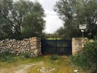 Land with ruin and high privacy in..