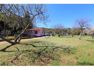 Rovinj,imanje blizu glavne ceste,12 000m2,idealno za restora