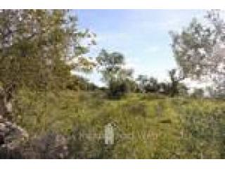 Real estate, Mallorca, beautiful plot..