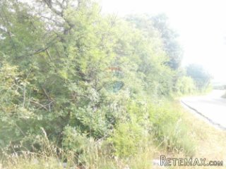 Istra, Marčana, Peruški, poljoprivredno zemljište