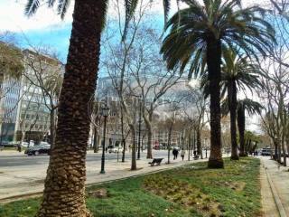 Fully Renovated T3 Lisbon Apartment for..