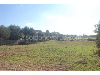 - Land - Paphos - For Sale