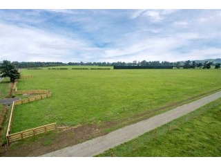 Blue Chip Location