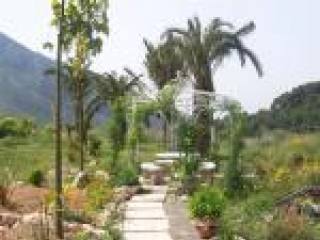 Plot, Alicante (Costa Blanca), Callosa..
