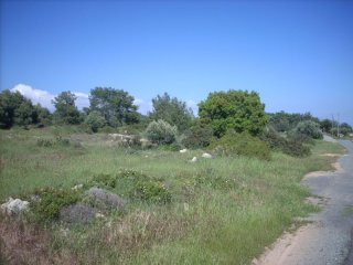 Residential Land for Sale in Souni