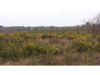 28055 - Vente - Terrain - Vergt