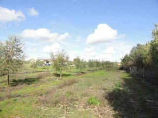 2 Bedrooms Farm For Sale - Portalegre
