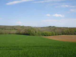 28080 - Vente - Terrain - Vergt