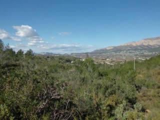 Plot in Javea