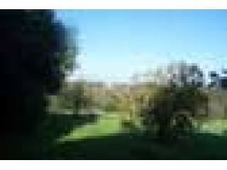 Country/farmhouse, Villa - For Sale -..