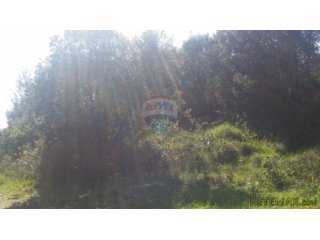 POLJOPRIVREDNO ZEMLJIŠTE U KRNICI!