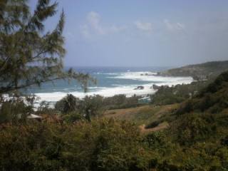 Property For Sale: Cattlewash, Atlantic..