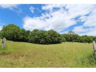 27077 - Vente - Terrain - Vergt