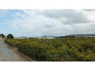 Resale · Apartment · Spain · Costa Bl..