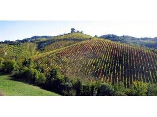 8 bedroom House For Sale: Cupra..