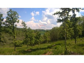 Buje, građevinsko zemljište, 7000m2