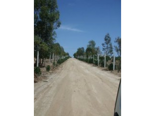 terrain loti de 346 m2