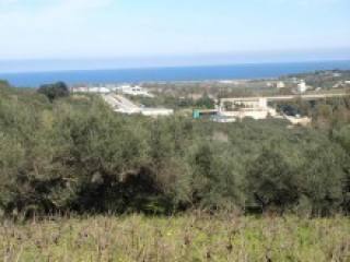 Crete Property