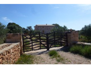 Mallorcan Style finca in Ses Salines