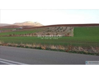B705 - FOR SALE LAND OF 11200m2
