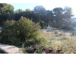 Plot in Javea