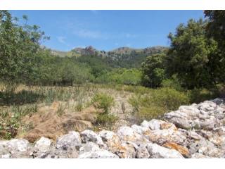 Plot Located In An Exclusive Area In..