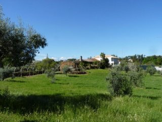 Large ruin to restore with over 11000m2..