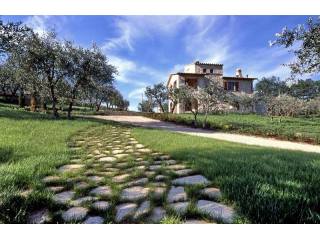 5 bedroom House For Sale: Collazzone..