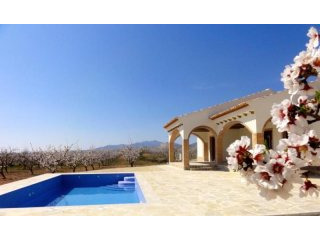 Finca Rustica New Build in Ubeda (Ref...