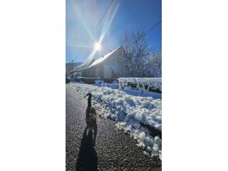 Gorski kotar, Lokve, samostojeća kuća, 180m2