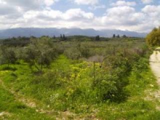 Crete Land For Sale