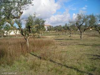 Land - Zakynthos - For Sale